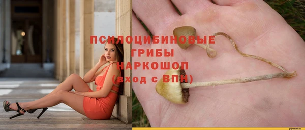 ECSTASY Кулебаки
