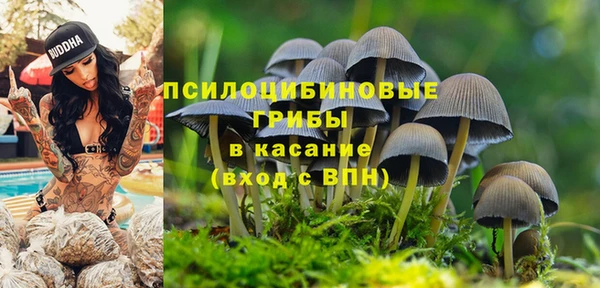 прущая мука Кукмор